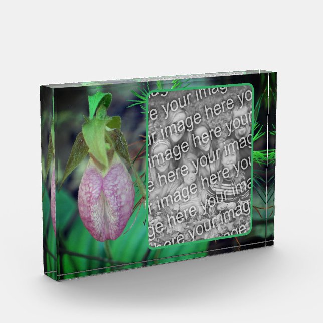 Lady Slipper Orchid Erstellen Sie Ihre eigene Fotoblock (Links)