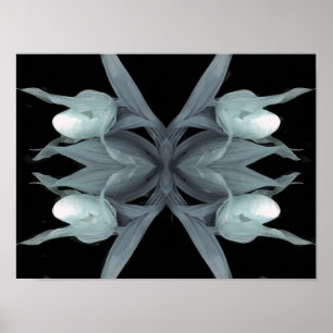 Lady Slipper Orchid - Print Poster