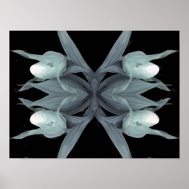 Lady Slipper Orchid - Print Poster (Vorne)