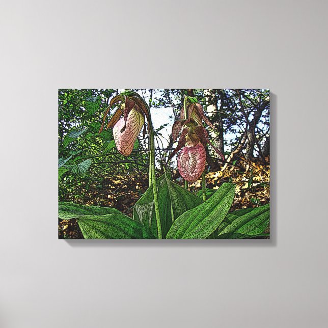 Lady Slipper Orchid Wildblume Leinwanddruck (Vorderseite)