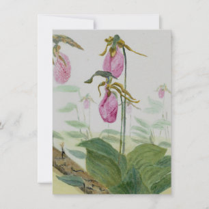 Lady Slippers Flat Card