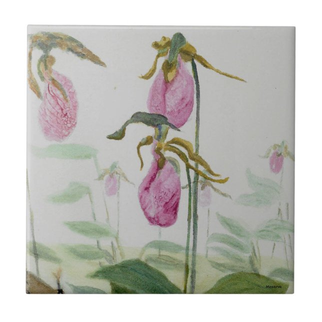 Lady Slippers Fliese (Vorderseite)