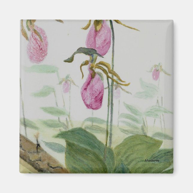 Lady Slippers Magnet (Vorne)