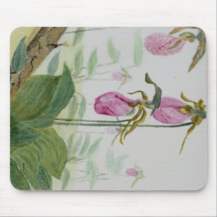 Lady Slippers Mousepad