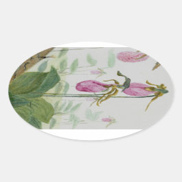 Lady Slippers Ovaler Aufkleber