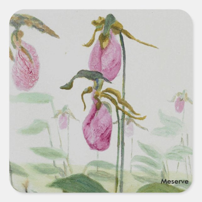 Lady Slippers Quadratischer Aufkleber (Vorderseite)