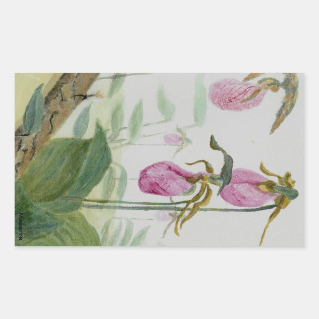 Lady Slippers Rechteckiger Aufkleber (Vorderseite)