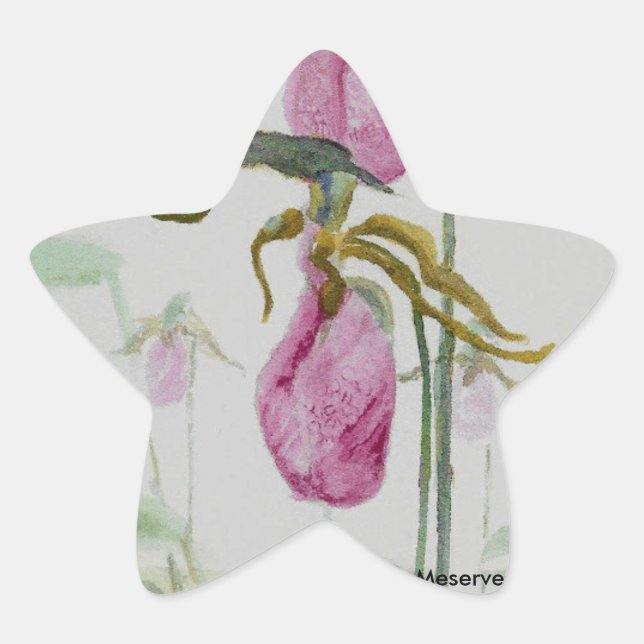 Lady Slippers Stern-Aufkleber (Vorderseite)