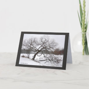 Lady Willow's Winter Karte