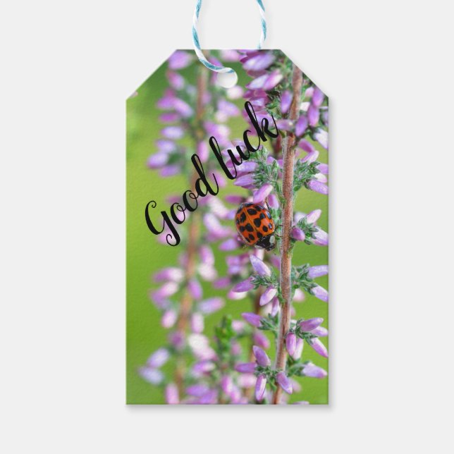 Ladybird auf Blume - Geschenkanhänger (Vorderseite)