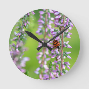 Ladybird auf lila Blume - Runde Wanduhr