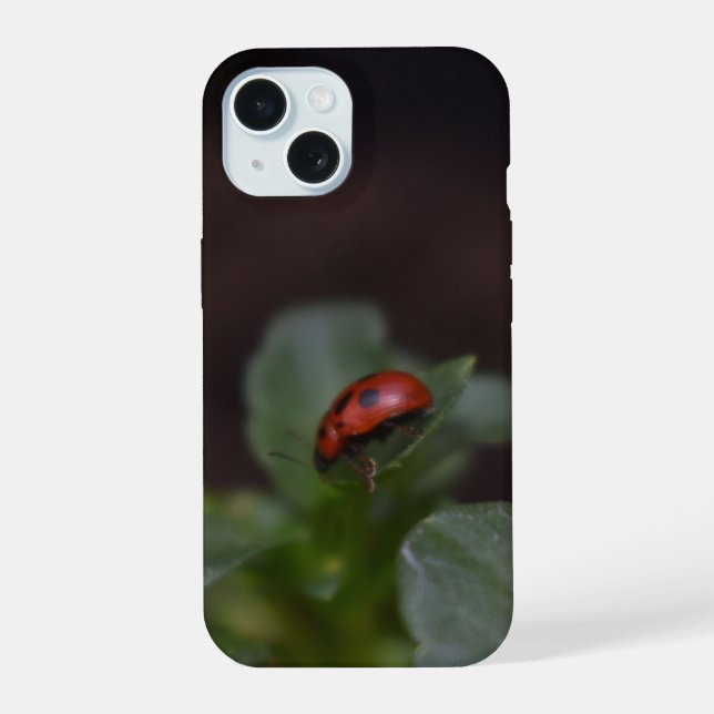 Ladybug (Verso)
