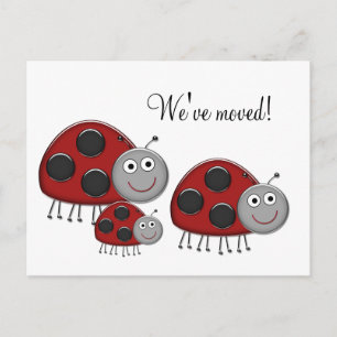 Ladybug - Änderung der Adresskarten Ankündigungspostkarte