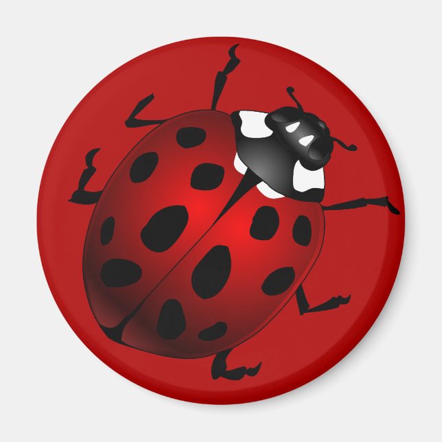 Ladybug Art Magnet Ladybird Ladybug Frinets (Devant)