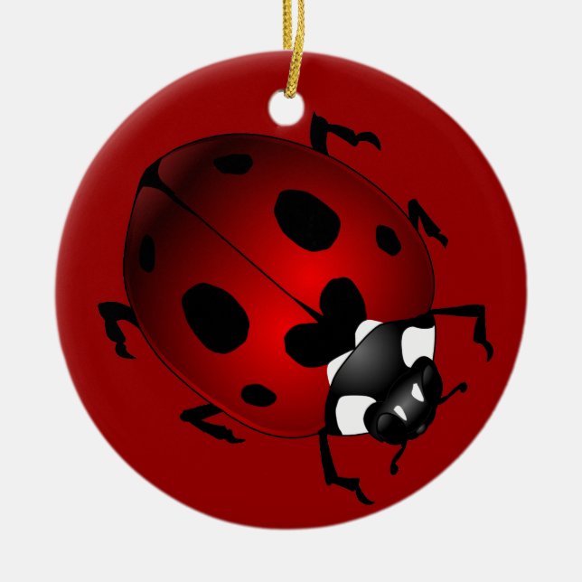 Ladybug Art Ornament Bug Keepake Ladybug Geschenke (Vorne)