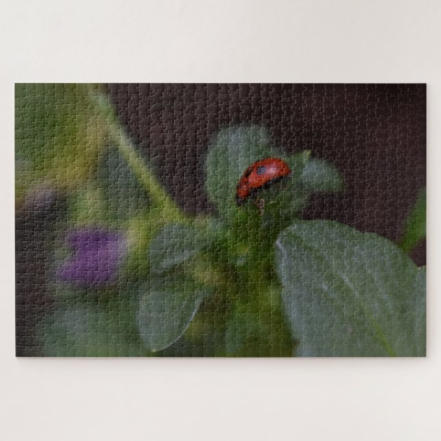 Ladybug auf Blume (Horizontal)