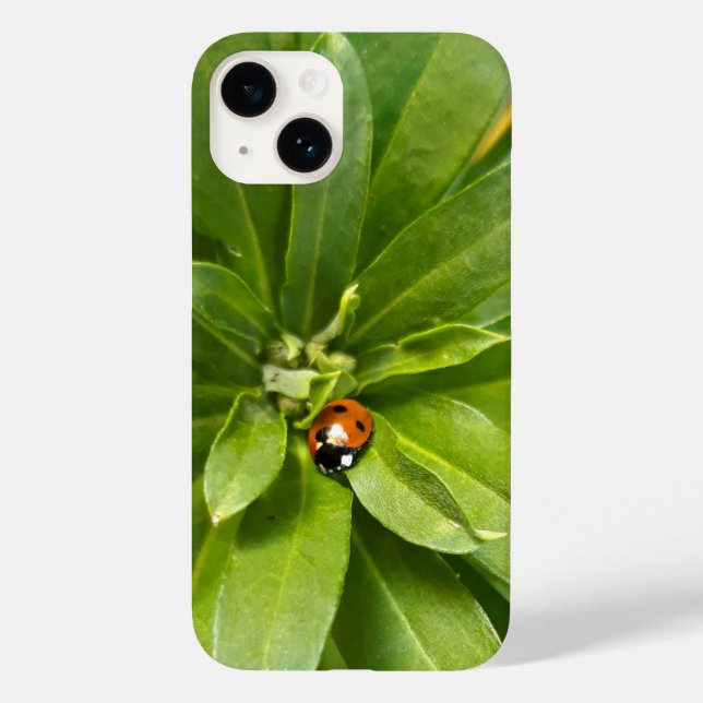Ladybug auf Blume Case-Mate iPhone 14 Hülle (Rückseite)