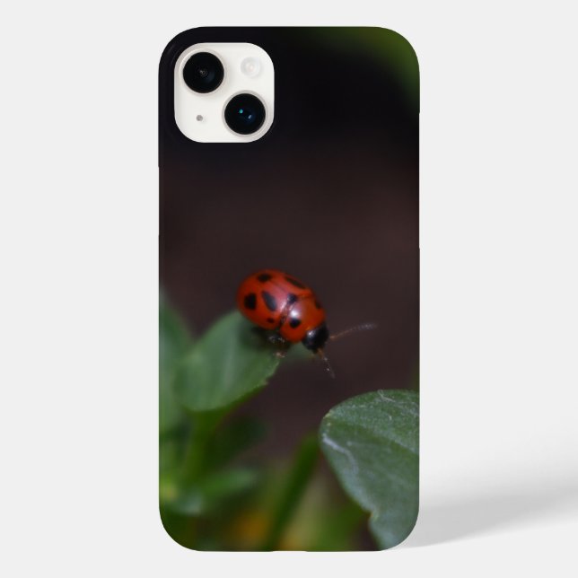 Ladybug auf Blume Case-Mate iPhone 14 Plus Hülle (Rückseite)