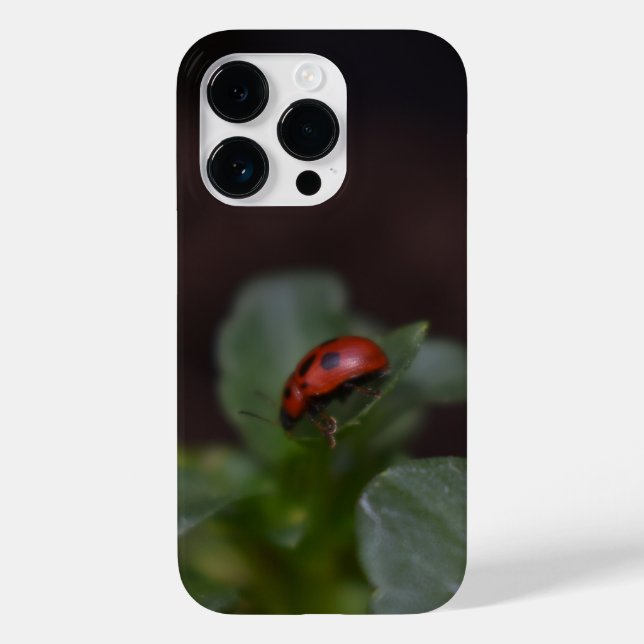 Ladybug auf Blume Case-Mate iPhone 14 Pro Hülle (Rückseite)