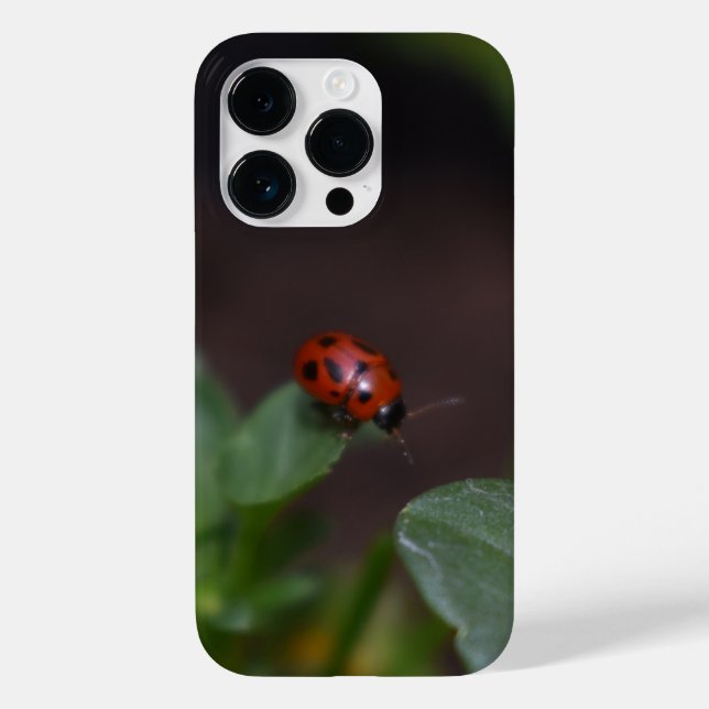 Ladybug auf Blume Case-Mate iPhone 14 Pro Hülle (Rückseite)