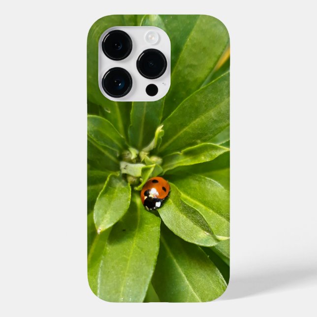 Ladybug auf Blume Case-Mate iPhone 14 Pro Hülle (Rückseite)