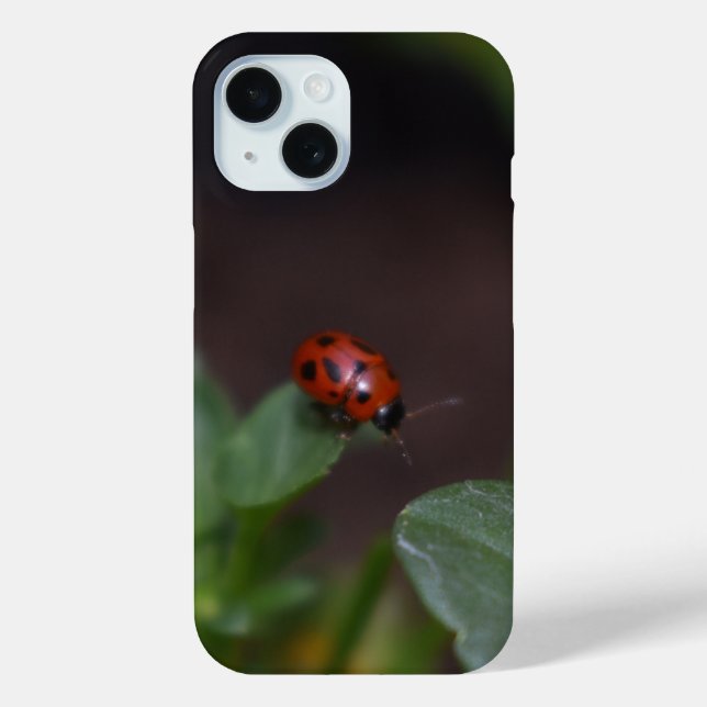 Ladybug auf Blume Case-Mate iPhone Hülle (Rückseite)