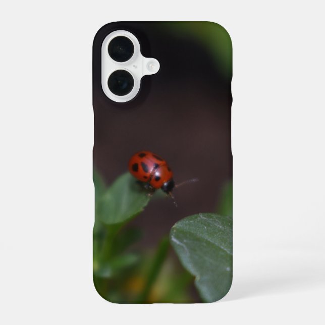 Ladybug auf Blume iPhone 16 Hülle (Rückseite)