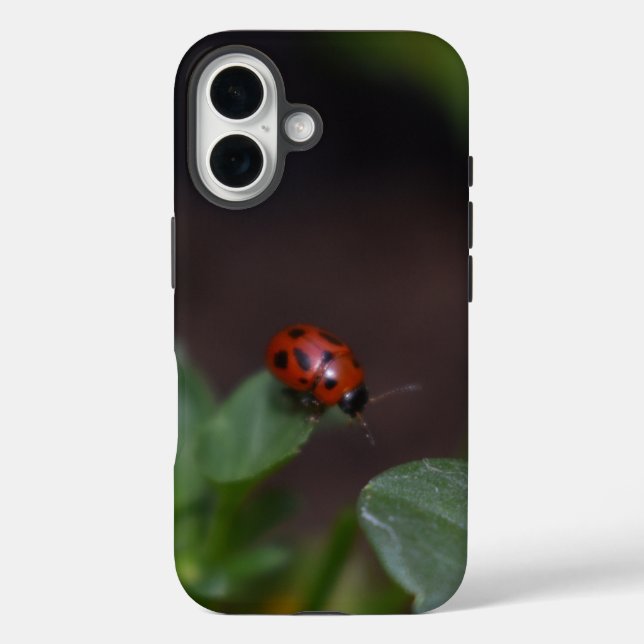 Ladybug auf Blume iPhone 16 Hülle (Rückseite)