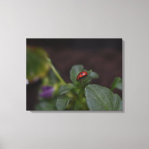 Ladybug auf Blume Leinwanddruck