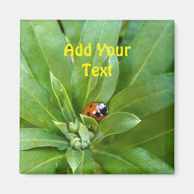 Ladybug auf Blume Magnet (Vorne)