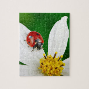 Ladybug auf Blume Puzzle