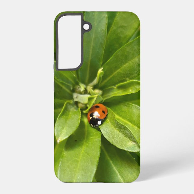 Ladybug auf Blume Samsung Galaxy Hülle (Rückseite)