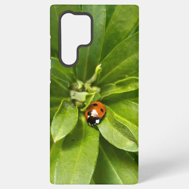 Ladybug auf Blume Samsung Galaxy Hülle (Rückseite)