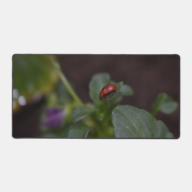 Ladybug auf Blume Schreibtischunterlage (Vorderseite)