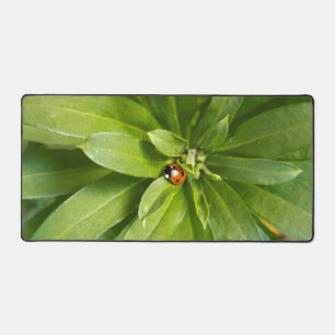 Ladybug auf Blume Schreibtischunterlage
