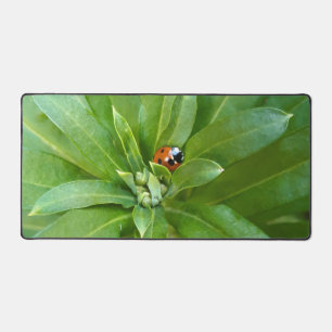 Ladybug auf Blume Schreibtischunterlage
