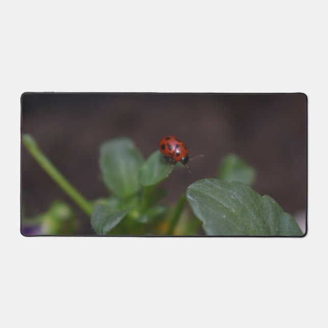 Ladybug auf Blume Schreibtischunterlage (Vorderseite)