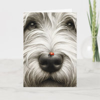 Ladybug auf der Nase des Shaggy Hundes