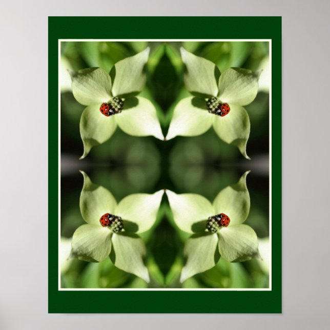 Ladybug auf der Weißen Dogwood-Blume Natur Abstrak Poster (Vorne)