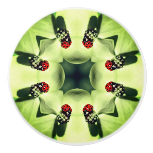 Ladybug auf Dogwood Abstrakt Nature Art Keramikknauf (Vorderseite)