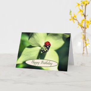 Ladybug auf Dogwood-Blume Geburtstag  Karte