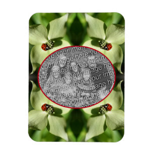 Ladybug auf Dogwood Blume Rahmen hinzufügen Foto Magnet