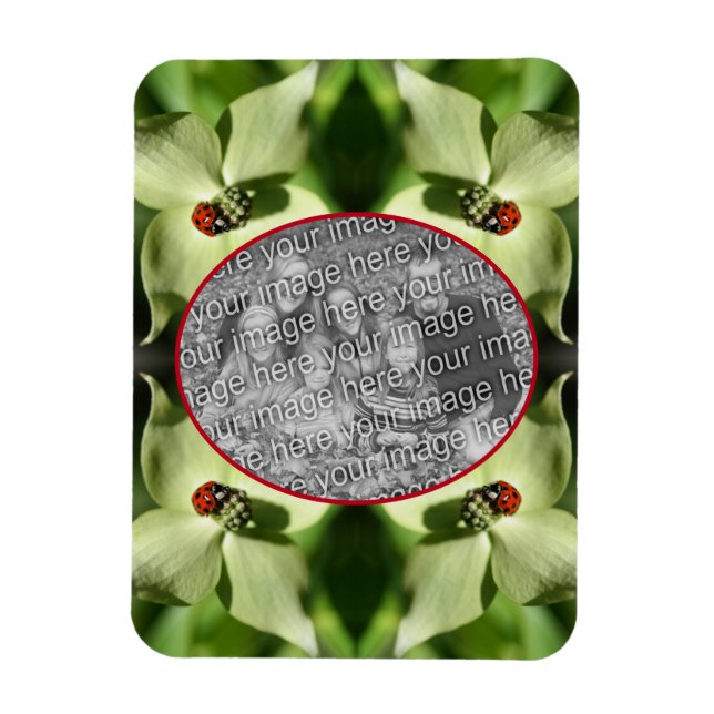 Ladybug auf Dogwood Blume Rahmen hinzufügen Foto Magnet (Vertikal)
