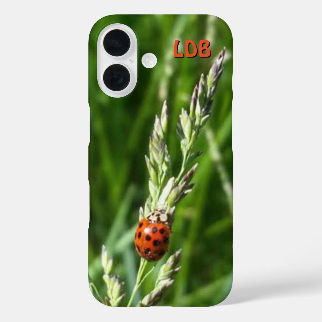 Ladybug auf Gras iPhone 16 Hülle (Rückseite)