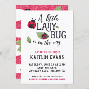 Ladybug Babydusche Einladung