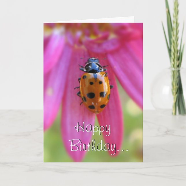 Ladybug Birthday Card Karte (Vorderseite)