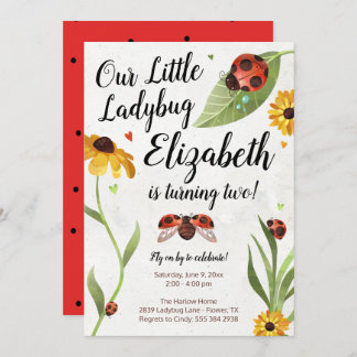 Ladybug Birthday Einladung