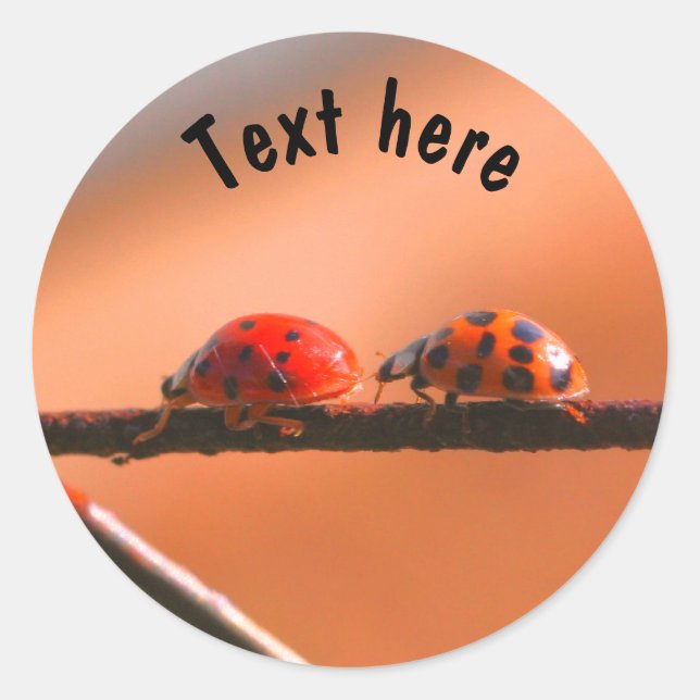 Ladybug Buddies Nature Personalisiert Runder Aufkleber (Vorderseite)