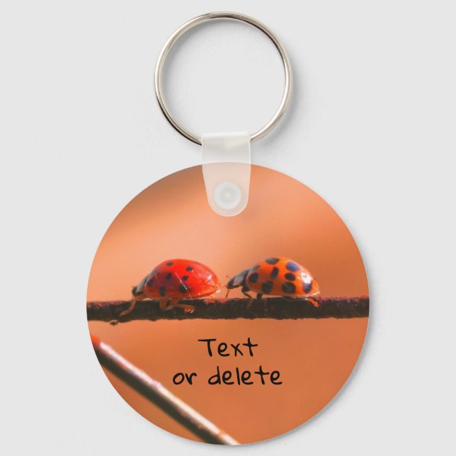 Ladybug Buddies Nature Personalisiert Schlüsselanhänger (Vorderseite)