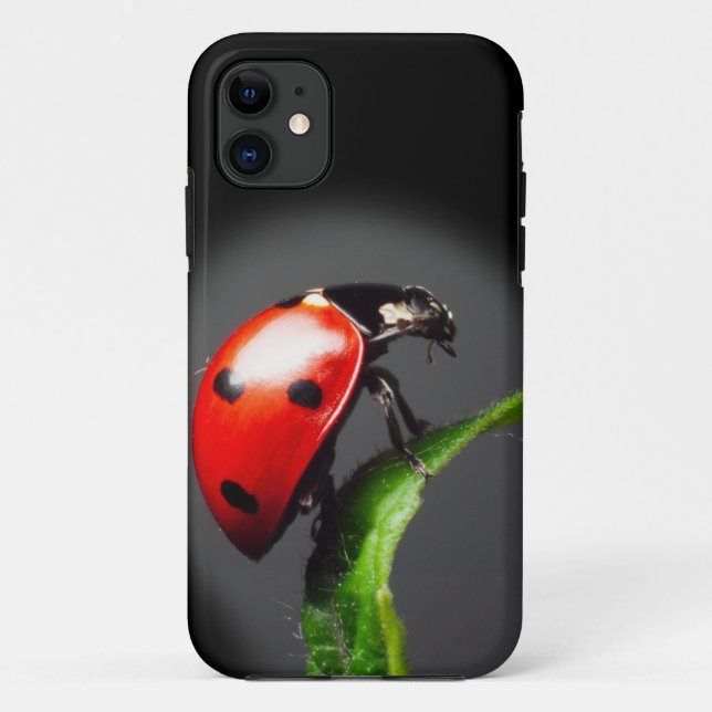 Ladybug Case-Mate iPhone Hülle (Rückseite)